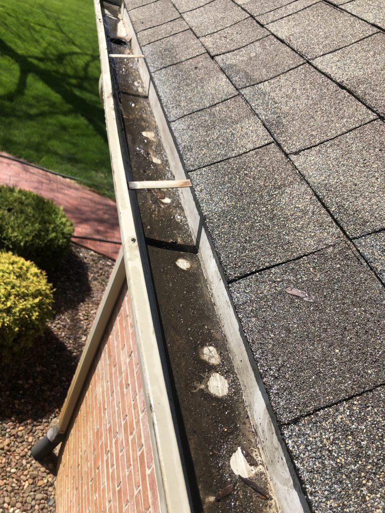 Clogged gutter before cleaning.